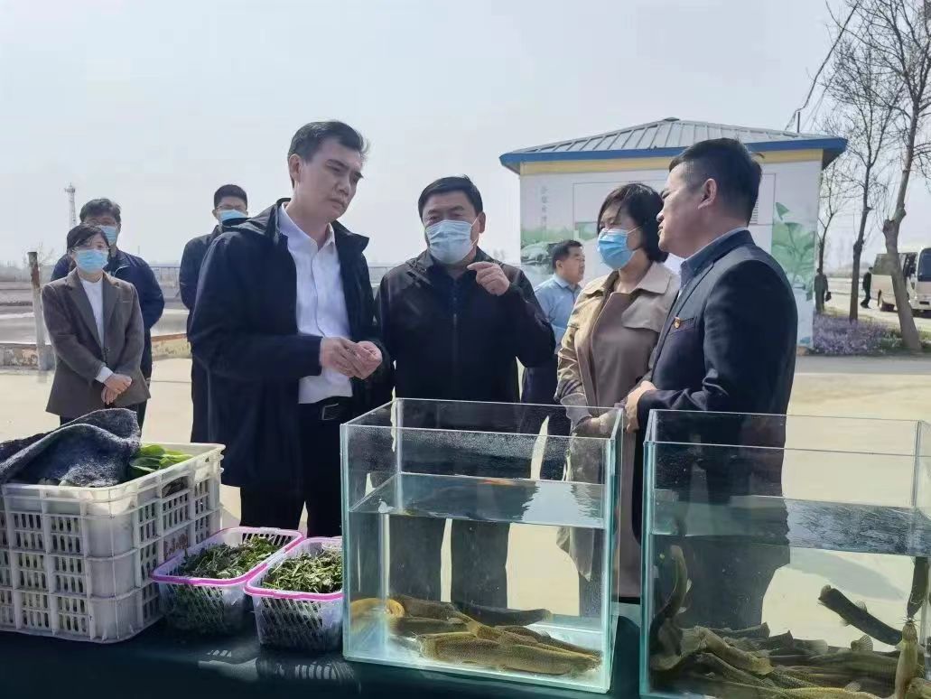 樂陵市委書記王曉勇一行蒞臨天津恒運能源集團旗下清洋湖公司參觀考察