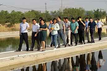 樂陵市省派第一書記一行蒞臨恒運(yùn)能源集團(tuán)旗下農(nóng)業(yè)產(chǎn)業(yè)清洋湖指導(dǎo)工作