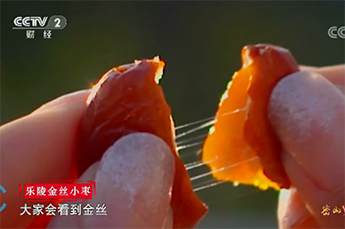 恒運能源集團旗下農業(yè)產業(yè)百棗綱目（集團）四大系列棗產品亮相央視《魅力中國城》