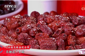 恒運能源集團旗下農業(yè)產業(yè)百棗綱目（集團）四大系列棗產品亮相央視《魅力中國城》