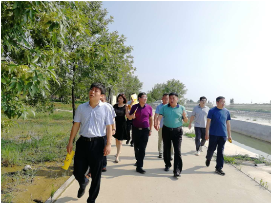 項目建設(shè)新創(chuàng)舉 整體規(guī)劃大提升 中國農(nóng)科院特產(chǎn)研究所副所長李滋睿一行到清洋湖來考察