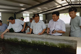 山東省淡水研究院疾病防控室秦玉廣主任、生態(tài)病理研究室 杜興華主仼蒞臨清洋湖指導(dǎo)工作