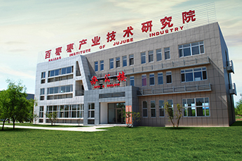 因地制宜 打造特色旅游產(chǎn)業(yè)鏈 中國當代清朝影視劇著名開山導演林鴻來百棗綱目（集團）參訪