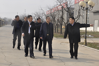 樂陵副市長吳峰蒞臨恒運(yùn)能源集團(tuán)旗下農(nóng)業(yè)產(chǎn)業(yè)百棗綱目（集團(tuán)）調(diào)研工作