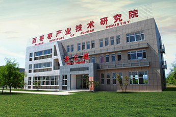 恒運(yùn)能源集團(tuán)旗下企業(yè)山東百棗綱目生物科技與轄區(qū)骨干企業(yè)開展紅棗產(chǎn)業(yè)座談會(huì)