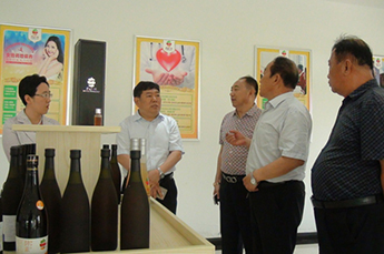 樂陵市市委副書記、市長樊廷雷一行蒞臨恒運能源集團旗下農(nóng)業(yè)產(chǎn)業(yè)百棗綱目實地調(diào)研指導(dǎo)工作